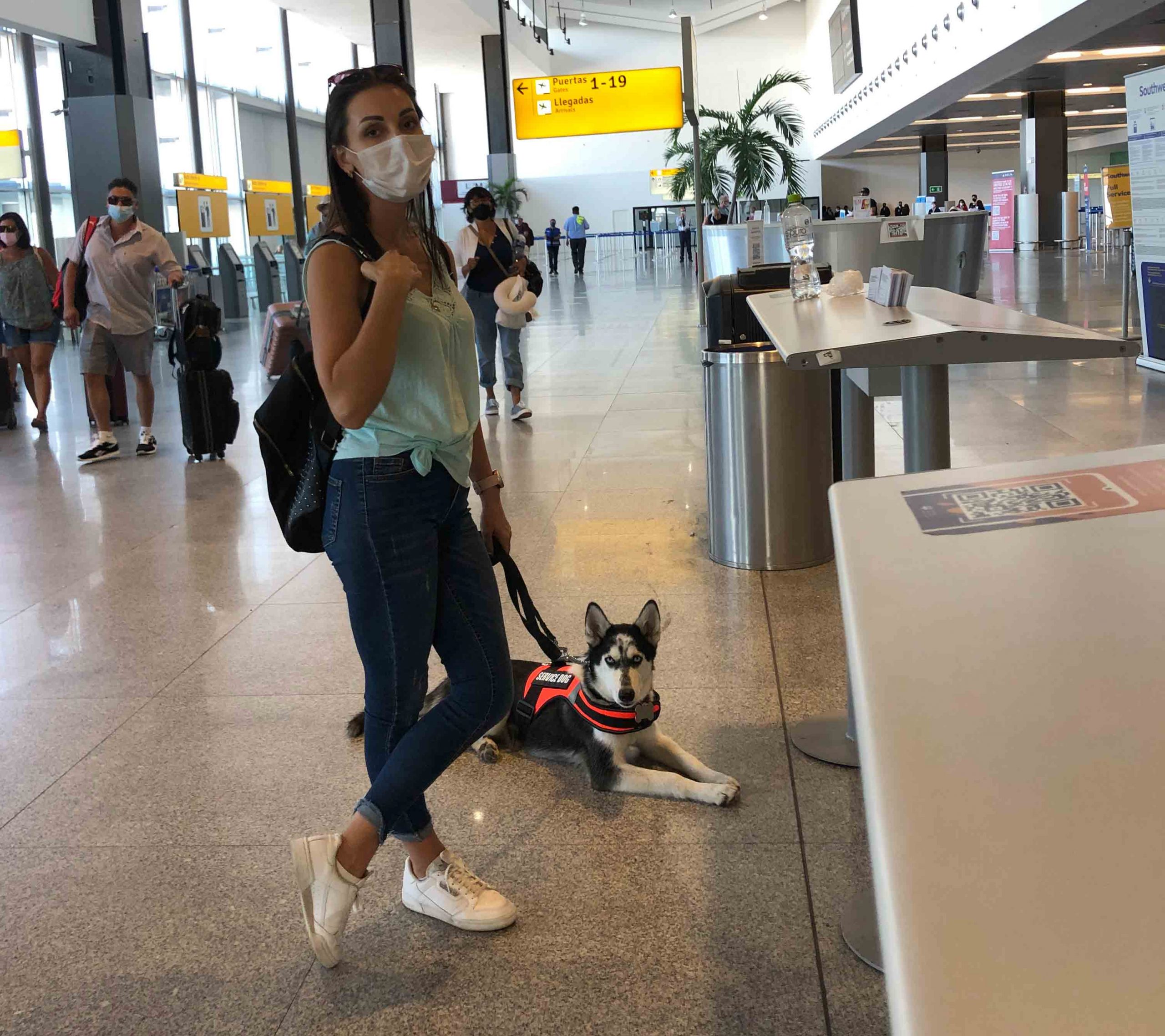 curso perro de asistencia - The Dog School